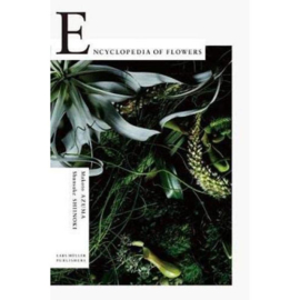 Encyclopedia Of Flowers I - Makoto Azuma & Shunsuke Shiinoki