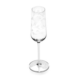 Champagneglas (26 cl) Camelia aubergine - Marni / Serax