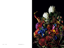 Encyclopedia Of Flowers III - Makoto Azuma & Shunsuke Shiinoki
