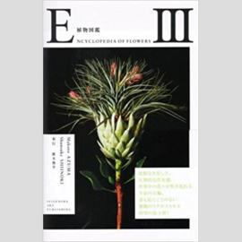 Encyclopedia Of Flowers III - Makoto Azuma & Shunsuke Shiinoki