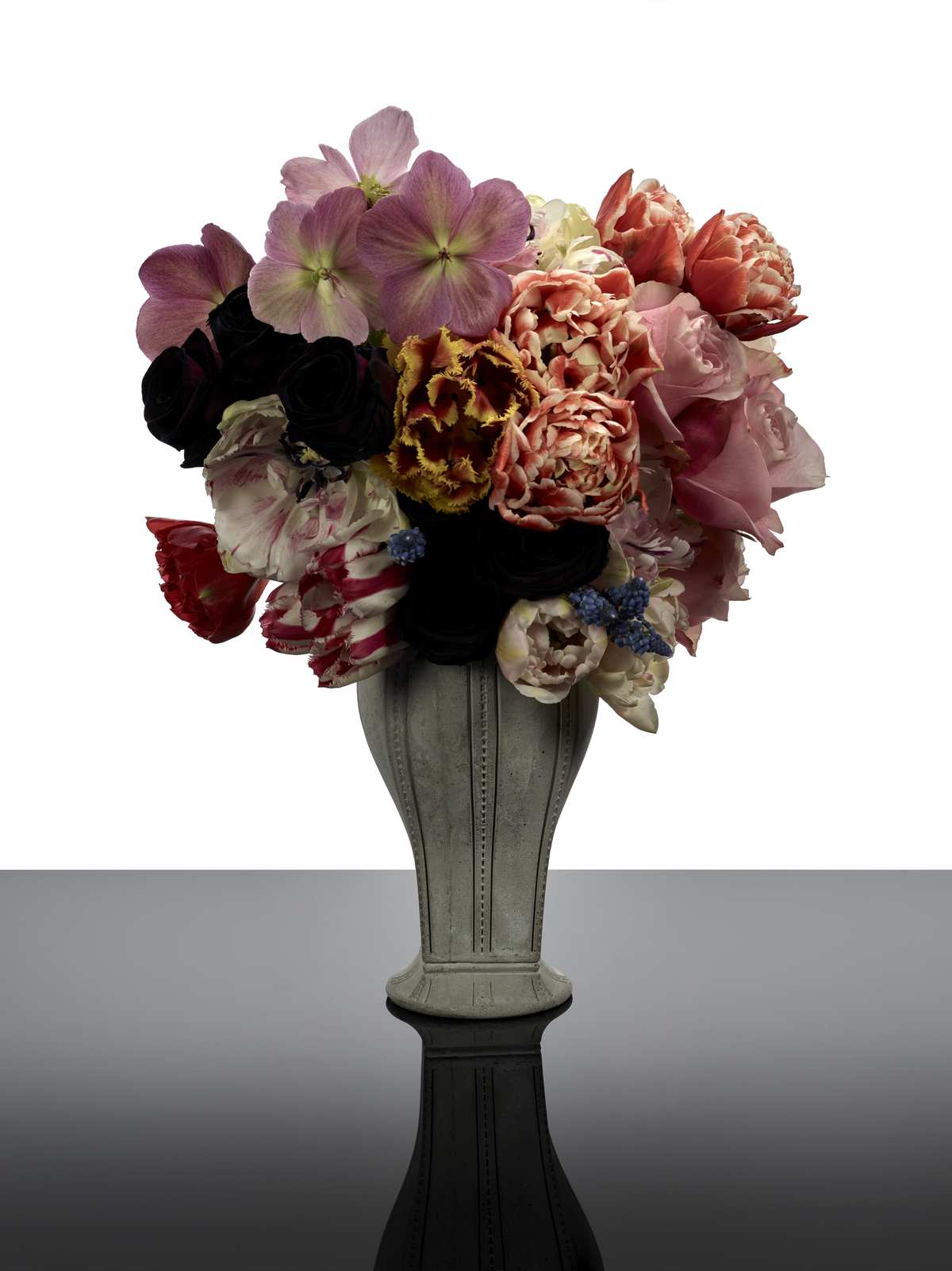 Josephine - Bloem Tulp transparant - Kris Van Assche / Serax