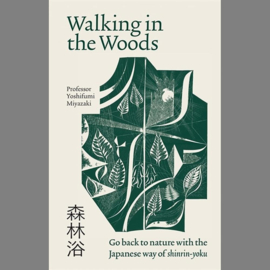 Walking in the Woods - Yoshifumi Miyazaki