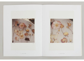 Cy Twombly: Photographs Lyrical Variations