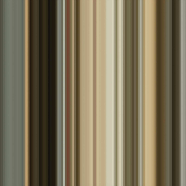 Rijksmuseum DNA Wallpaper  #045 'Augusta' Small - Irma Boom
