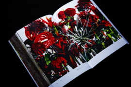 Encyclopedia Of Flowers II - Makoto Azuma & Shunsuke Shiinoki
