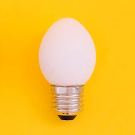 Eilamp / Egglamp (van een echt kippenei!) - Ruben de Haas