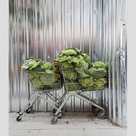 Torsten Schumann - More Cars, Clothes And Cabbages
