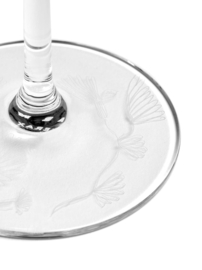 Champagneglas (26 cl) Camelia aubergine - Marni / Serax