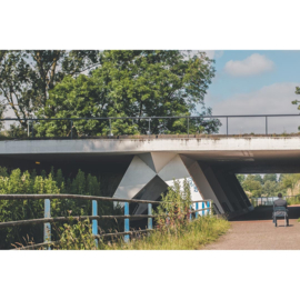 Foto 'Man Waiting Near Flyover' - Joost Nelissen