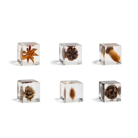 Cube autumn  (per stuk 3 x 3 cm) - &Klevering