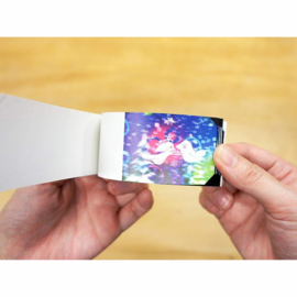 Flipbook: Strobofly