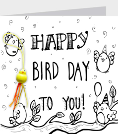 B23 Happy bird day