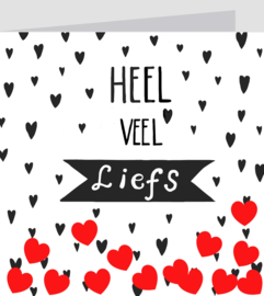 B20 Heel veel liefs