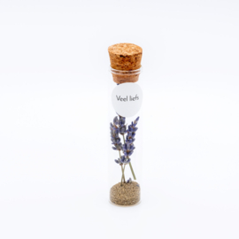 Display Lavendel