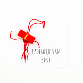 Cadeau kaartje Sint cadeautje