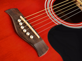 Akoestische gitaar RICHWOOD Artist serie RD 12 CE Red Sunburst
