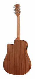 Akoestische gitaar RICHWOOD Master series D-20-CE