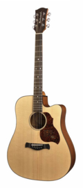 Akoestische gitaar RICHWOOD Master series D-20-CE