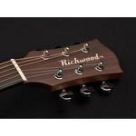 Akoestische gitaar RICHWOOD Master series D-20-CE