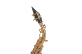 ROY BENSON SG-302 sopraansax gebogen
