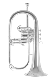 Roy Benson FH-302S