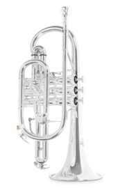 ROY BENSON CR-302S Verzilverd