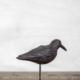 VOGEL OP STANDAARD