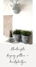 Klantenfoto BRYNXZ POTTEN + KUNSTPLANTJES