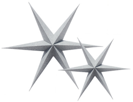 Delight Department PAPER STARS Silver Glitter set van 2