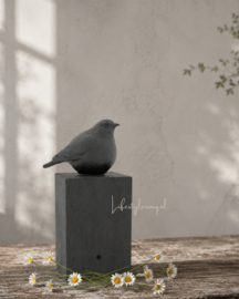 ZINGENDE VOGEL