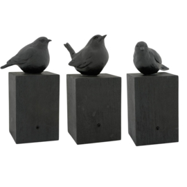 ZINGENDE VOGEL