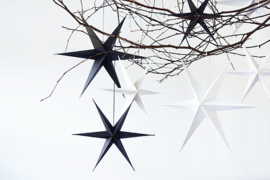 Delight Department PAPER STARS Black set van 2