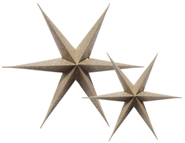 Delight Department PAPER STARS Gold Glitter set van 2