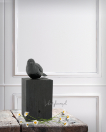 ZINGENDE VOGEL