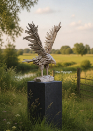 TEAKHOUTEN ROOFVOGEL