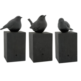 ZINGENDE VOGEL