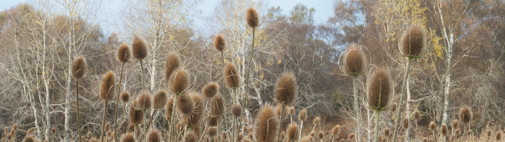 herfst