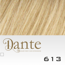 Dante Clip kleur 613