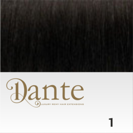 Dante Couture kleur 1