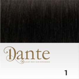 Dante Flex kleur 1