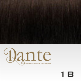 Dante Flex kleur 1B