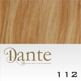 Dante Clip Light kleur 112