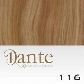 Dante Couture kleur 116