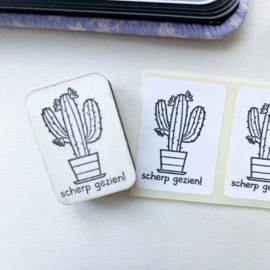 Stempel cactus - scherp gezien!