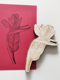 Stempel bloem 3