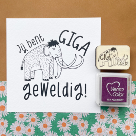 Cadeausetje Dag van de Leraar