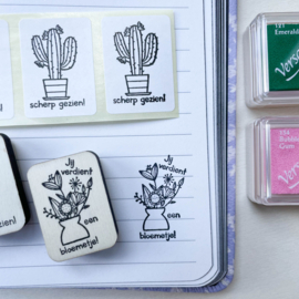 Stempel cactus - scherp gezien!