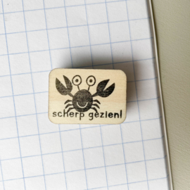 Stempel krab - scherp gezien!