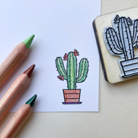 Stempel cactus