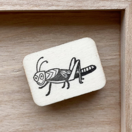 Stempel insect - sprinkhaan